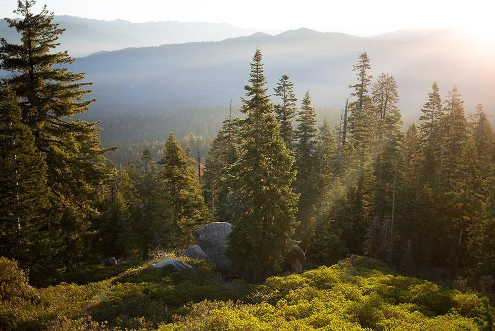 John Muir Lodge Hume Экстерьер фото