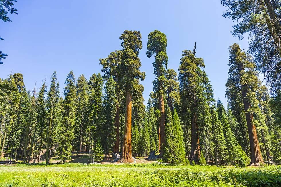 John Muir Lodge Hume Экстерьер фото
