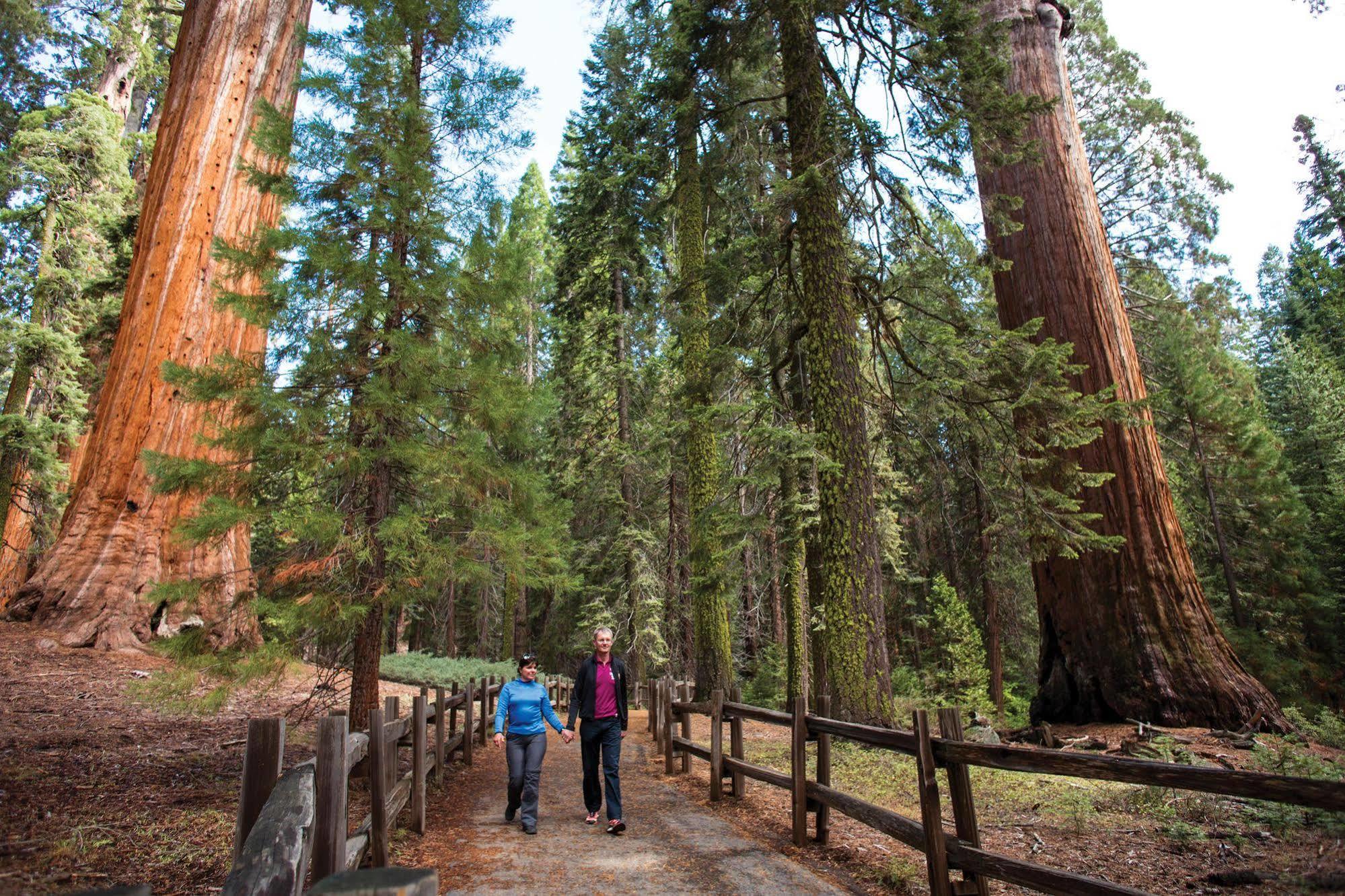 John Muir Lodge Hume Экстерьер фото